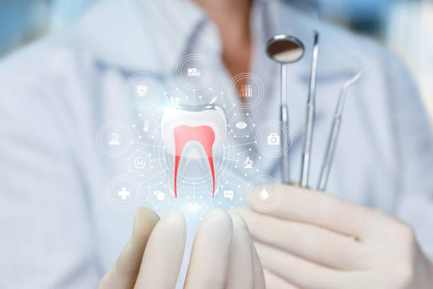 Professional Dental Services in Cleveland Heights, OH